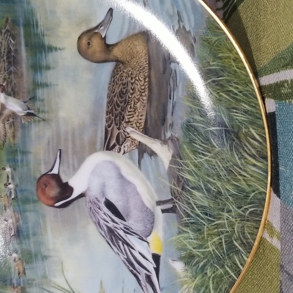 1986 Limited Edition The Pintail By Bart Jerner Plate No 3253C - Picture 4 of 8